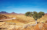 Kalahari Desert in Southern Africa