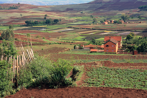 Madagascar: Typical Rural Countryside