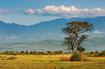 Queen Elizabeth National Park and the Rwenzori Mountains